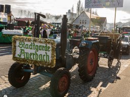 EFG-Faschingszug Dumba 2025_131